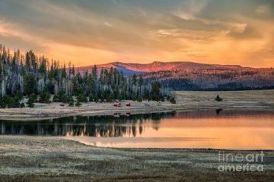 Drone Photographer in the White Mountains AZ